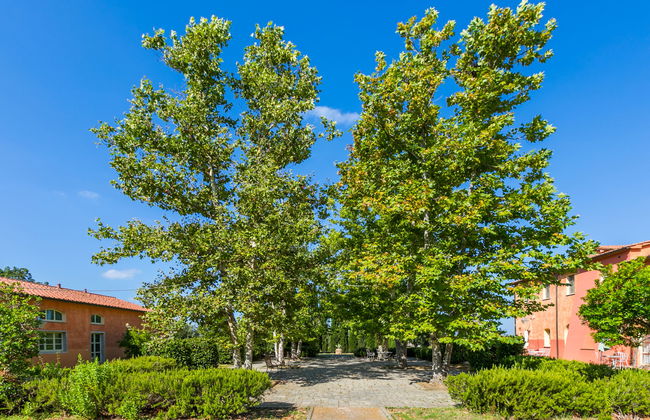 Quercia Alta - Foto 30