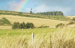 Woodside Steading - Photo 17