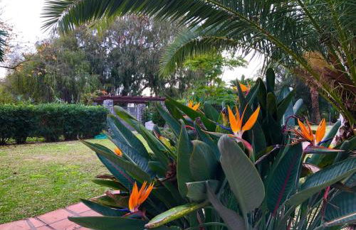 PUERTO BANUS Apartamento FANTASTICO - Foto 23