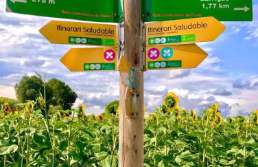 Torre Costa Brava Private pool - Foto 30