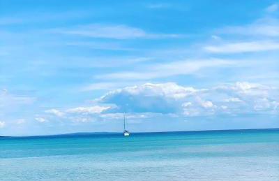 Rose house - Foto 14