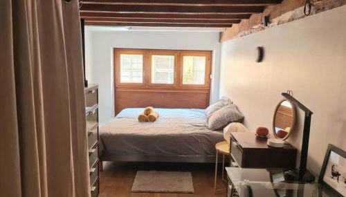 Duplex atypique loft Lyon 6 - Foto 4