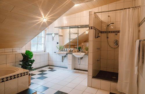 Zur alten Oelmuehle Wellness & Entertainment - Foto 76