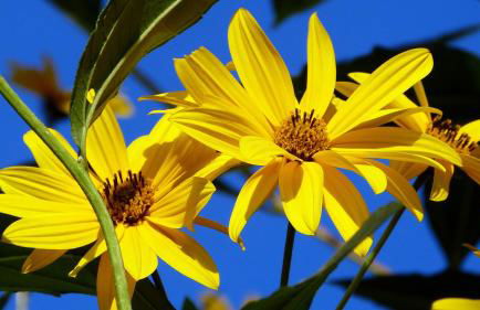 Casa vacanze Ester - Photo 34