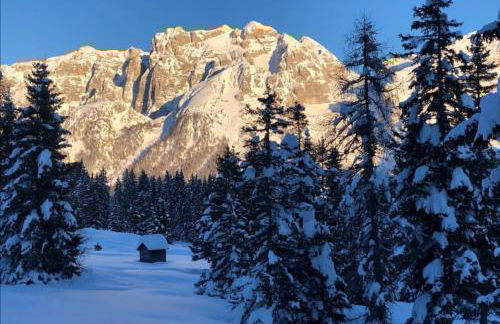 Condominio Ginepro - Foto 10