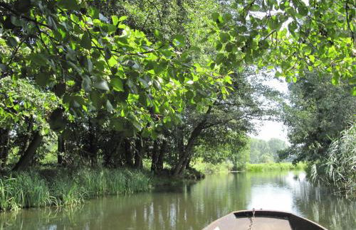 Spreewaldhaus zum Schoberplatz - Foto 18