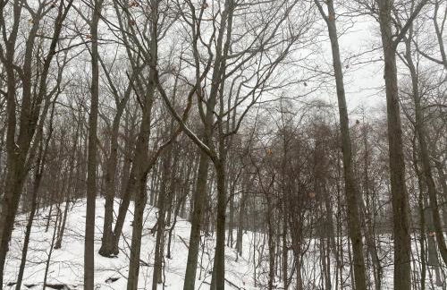 The Sanctuary at Deer Dune , Saugatuck - Foto 55