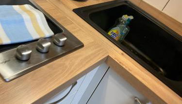 Studio miroir-arrivée autonome-animal ok - Photo 4