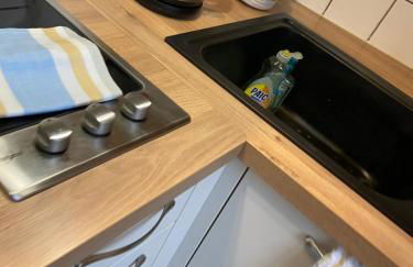 Studio miroir-arrivée autonome-animal ok - Photo 4