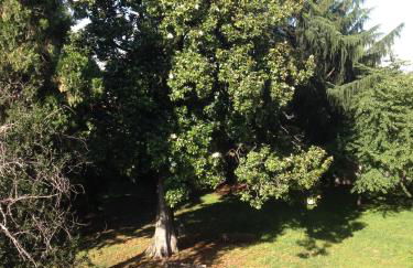 Residenza Sant'Anna - Foto 12