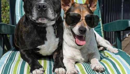 Travellers Rest Retreat - Foto 3