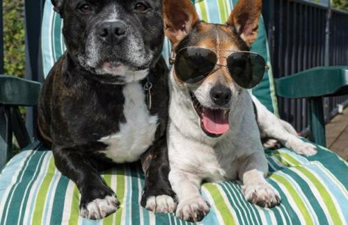 Travellers Rest Retreat - Foto 3