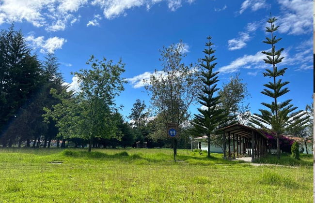 Loft Del Fundo Del Abuelo - Foto 7