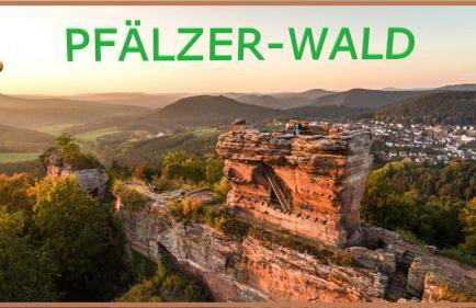 Appartements 4U Rodenbach - Foto 47