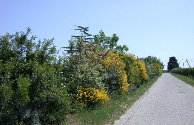 Casavacanze BioMele - Foto 24