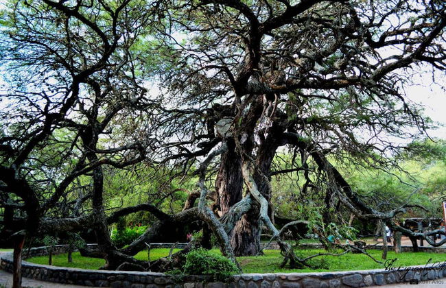 Tour panorámico por Villa de Merlo - Photo 5