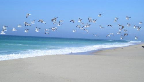 Torreira Vacation Homes - Sea House - Foto 3