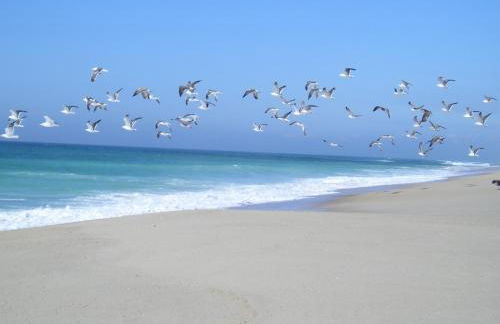 Torreira Vacation Homes - Sea House - Foto 3