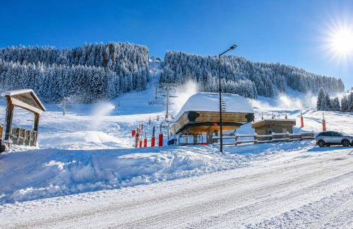 Appartement neuf duplex, ski-in/ski-out, WiFi, parking - FR-1-505-190 - Photo 19