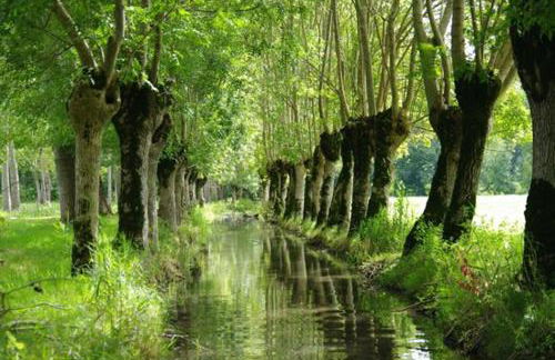 Une maraîchine en bord de conche avec barque sans linge de maison - Foto 16