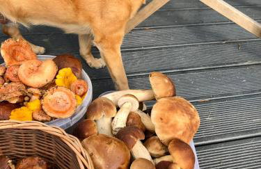 Villa Pino - Foto 42