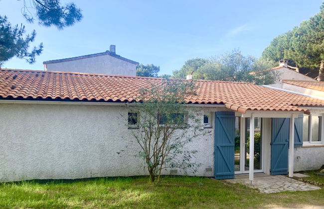 Les Trémières - Foto 26