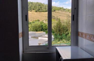 Ave Ibis eremita Vejer - Foto 9