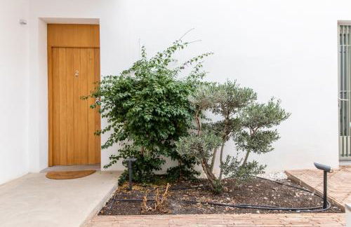 Patio del Lino - Photo 60