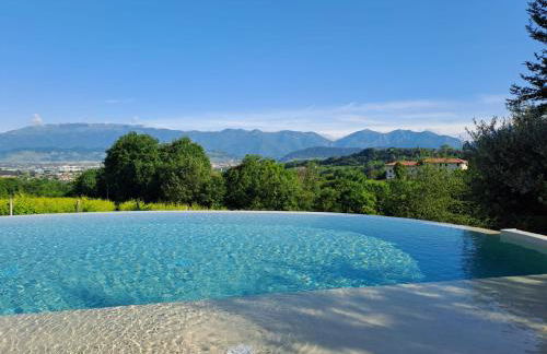 GATTO IN VIGNA - Foto 42