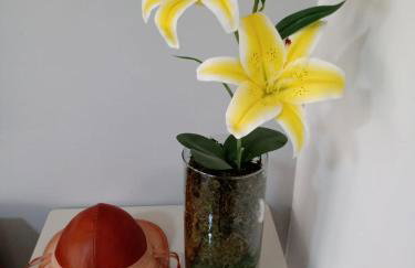 Casa Beira Rio Xingó - Foto 20