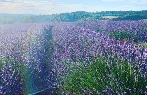 Côté Verdon - Foto 59