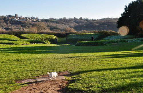Ash Cottage - Caerleon - Foto 21