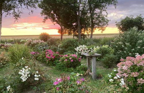 Marie Carla - Foto 54