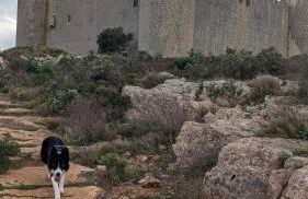 Mas Ramades - Foto 47