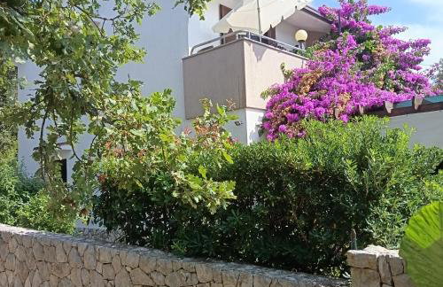 Apartments Barbara - Photo 1