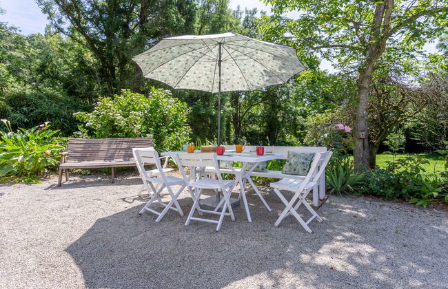 Les Oiseaux - Foto 4