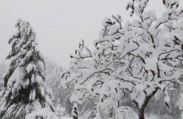 Kuća za odmor Tina - Foto 39