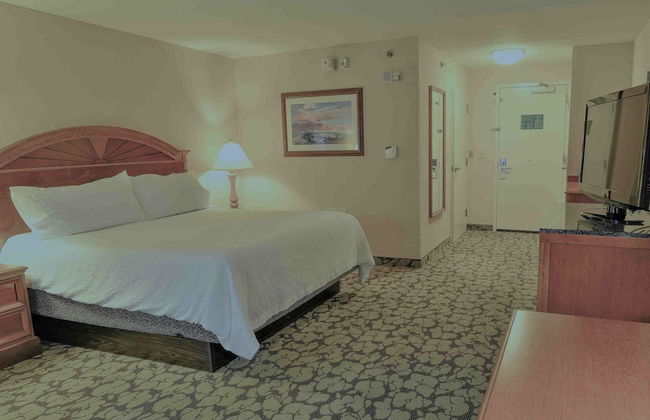 ACP Hotel Houston Westchase, MOD Collection by Sonesta - Foto 8