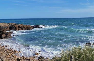 Un studio indépendant avec jardin - Foto 16
