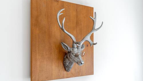 Ferienwohnung im Naturpark Steinwald - Foto 5