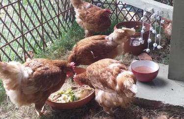 The LITTLE HOUSE in HULL - Foto 53