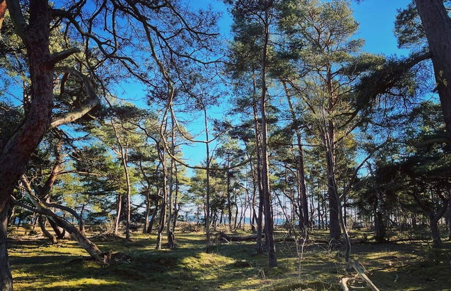 5 Person Holiday Home in Haltorp-by Traum - Foto 15