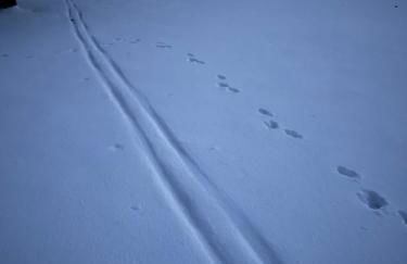 2 Bedroom 2 Bathroom - Blue Knob All Season Resort Condo - Foto 45