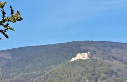 Ferienwohnung Grasmück - Foto 19