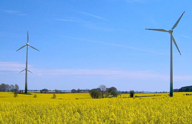 Holiday Home in Grömmitz - Foto 8