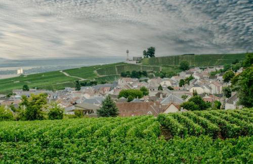 Maison de Champagne F.Barbier ! - Foto 23