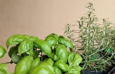 BNB CityLifers - Foto 9