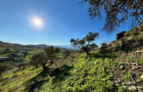 Mount Tatum - Foto 25