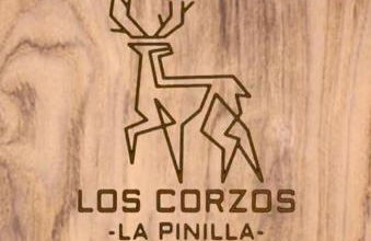 Apartamento LOS CORZOS - LA PINILLA - Foto 11