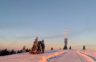 Stube9 am Feldberg, direkt an der Skipiste, Ski in-Ski out - Photo 55